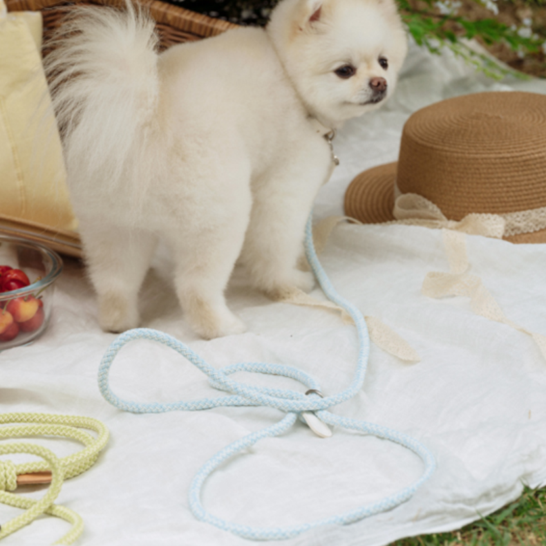 Rope Collar(ソーダ)