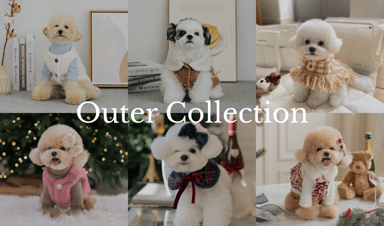 もうすぐ冬本番！アウターコレクション❄️