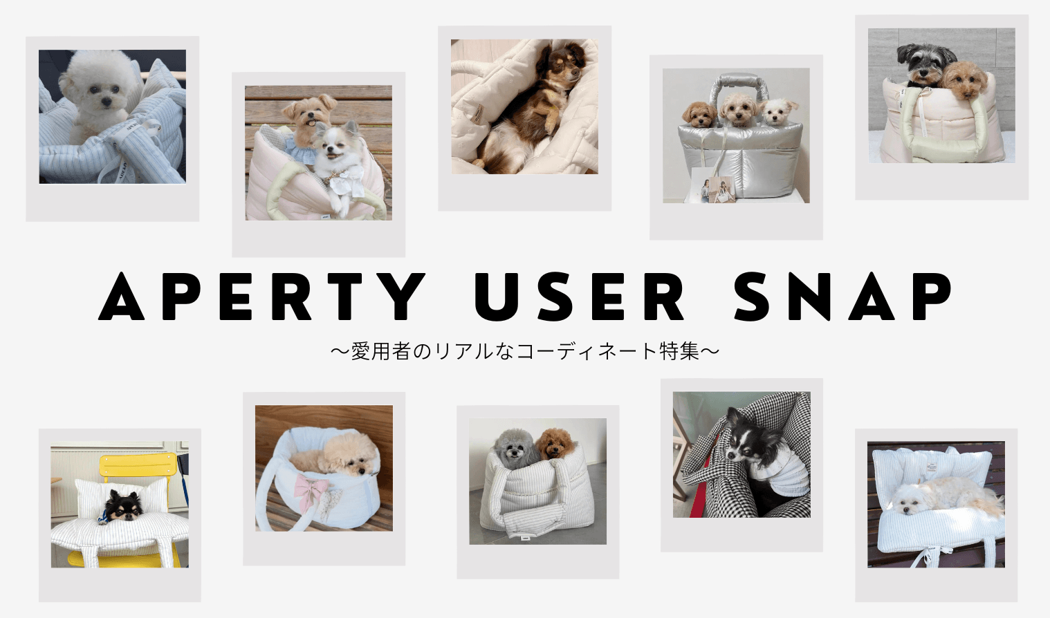 【APERTY】USER SNAP