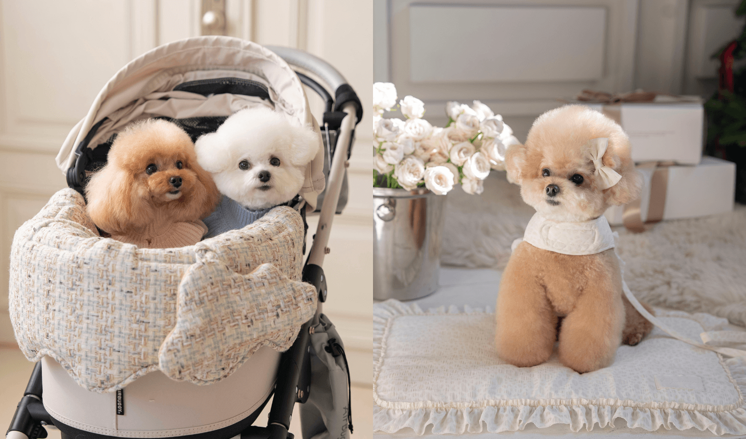 【New】OPAAAPの新作バギー＆ハーネスが予約販売開始！