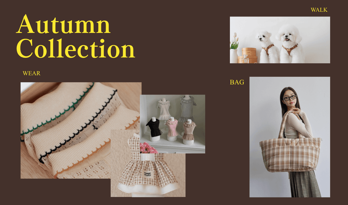 秋を先取り。Autumn Collection。