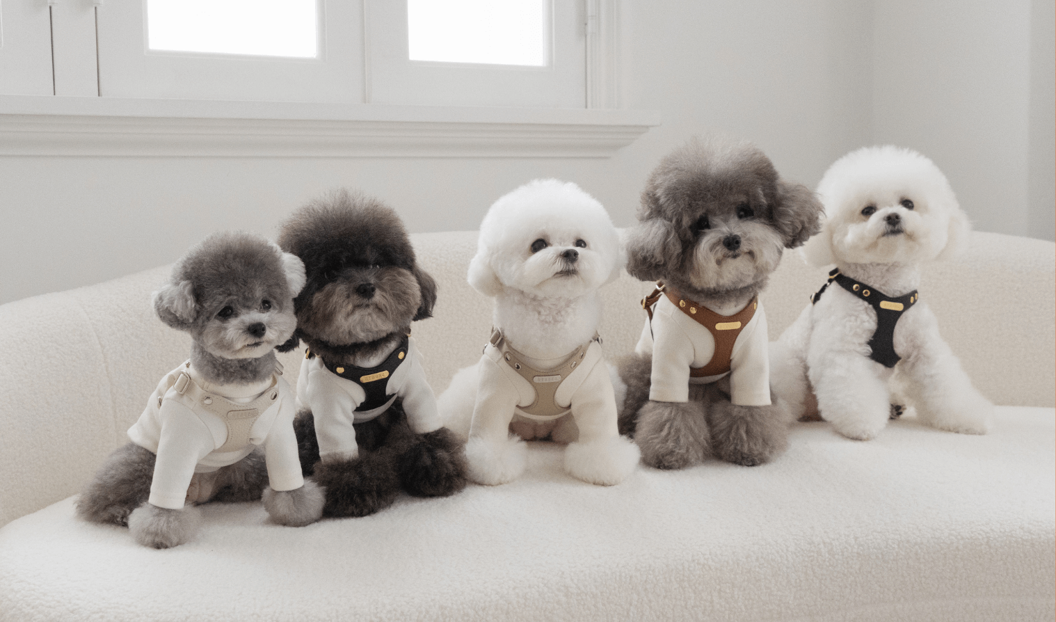 【New Color】大人気DELIGHT HARNESSの新色が販売開始！