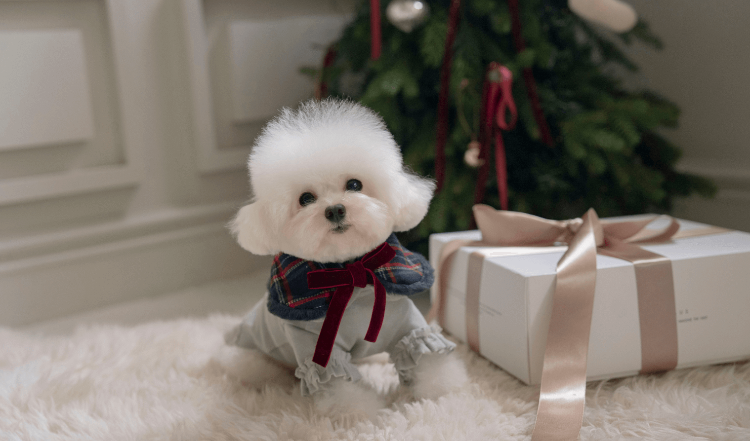 もうすぐクリスマス！ホリデーコーデ特集🎄