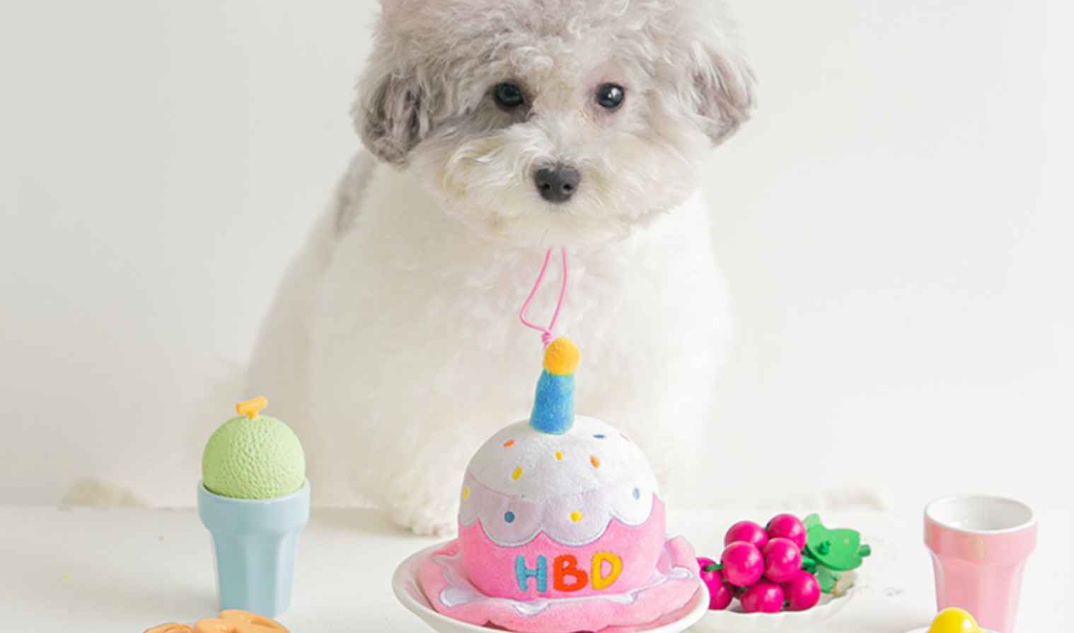 愛犬やお友達の誕生日プレゼントにギフトセットはいかがですか？
