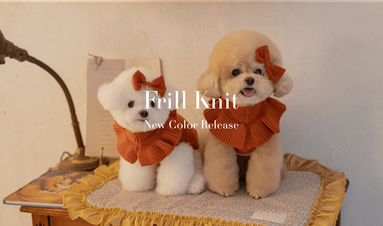 【New】大人気Frill Knit新色が販売開始！