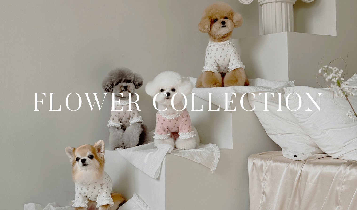 春を先取り！花柄アイテム特集🐶🌷