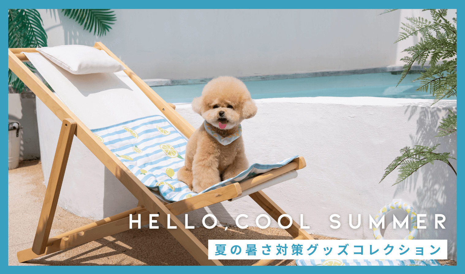 犬の暑さ＆熱中症対策に。夏に役立つおすすめグッズ10選