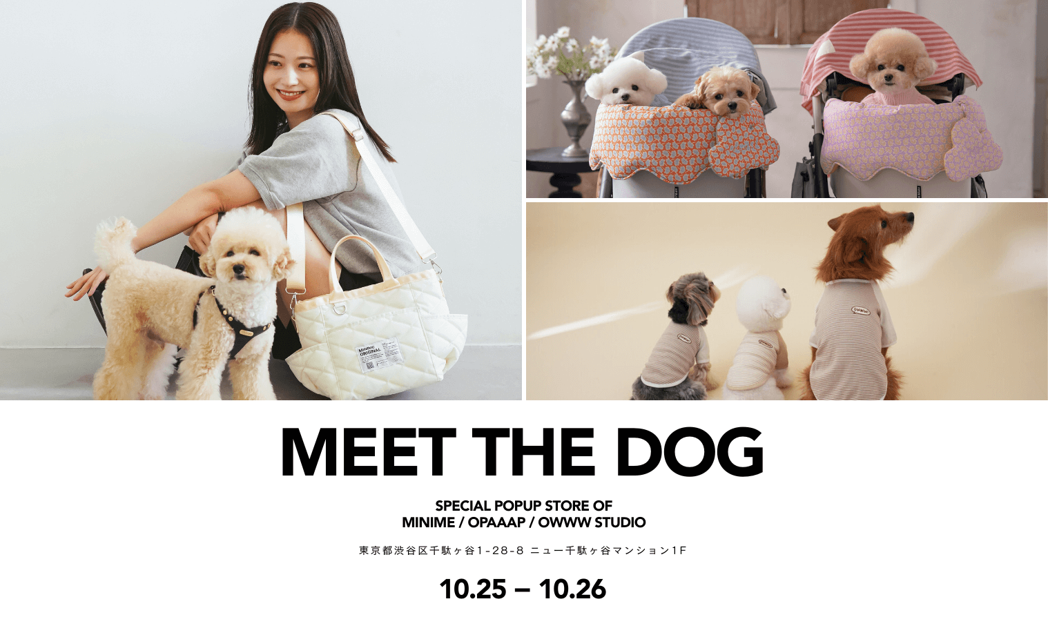 MEET THE DOG