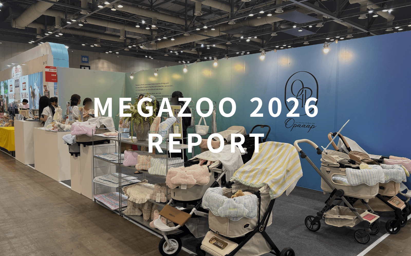 megazoo 韓国　ペット展示会