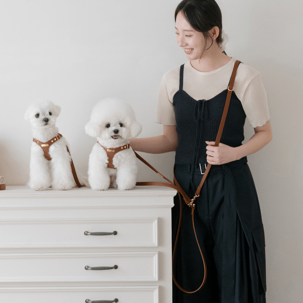 DELIGHT HANDS-FREE LEASH