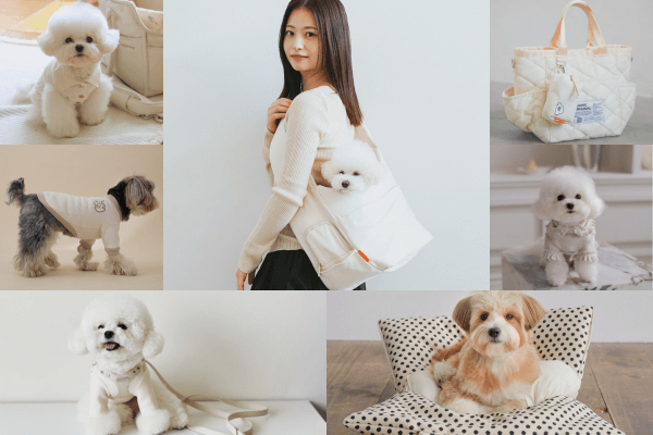 Ivory Item Collection