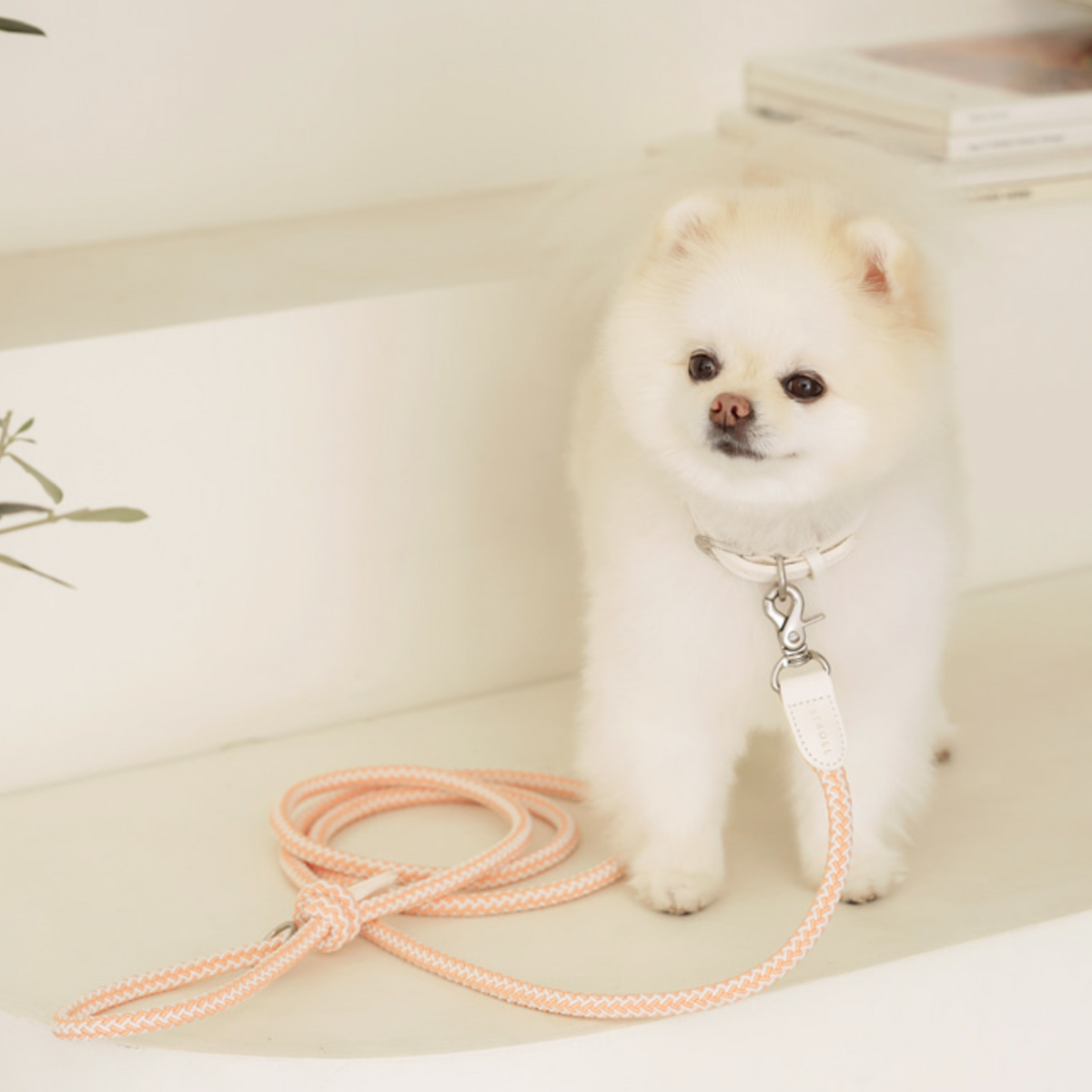 MINIME♡ハーネス&リード BYBONG（小型犬用ハーネス）の商品一覧