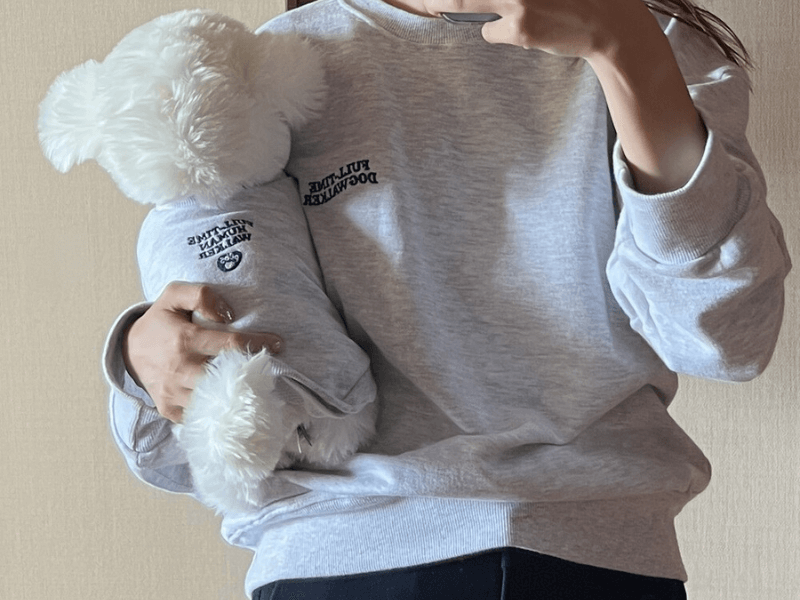 Sweatshirt Collection