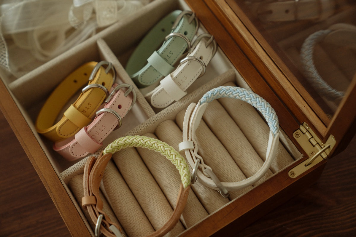 Stroll（Collar）