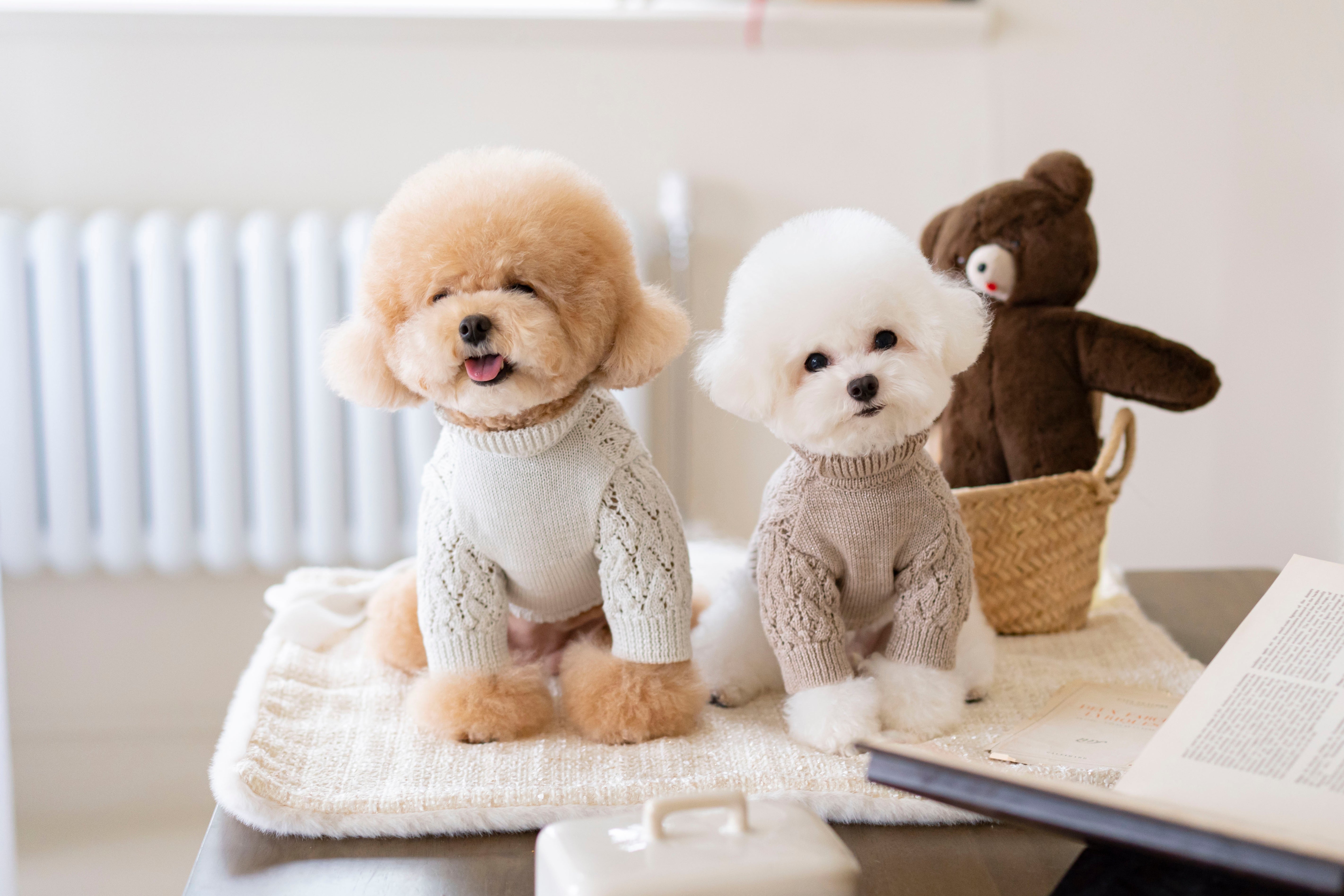 WINTER SALE（OPAAAP）