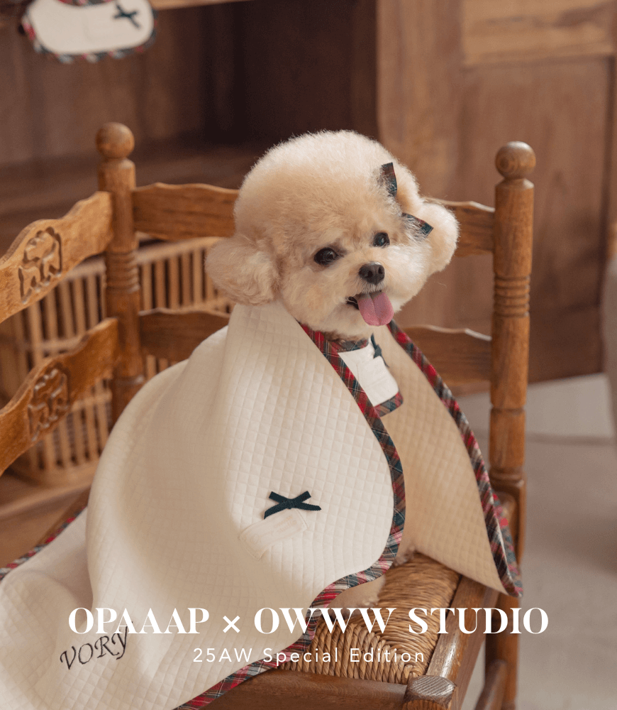 25FW OPAAAP×OWWW STUDIO Collection