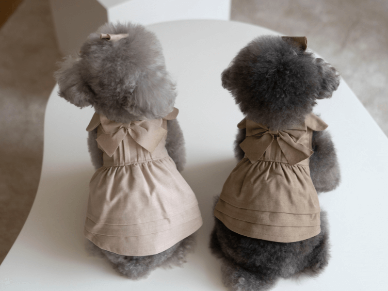 Dress_2510