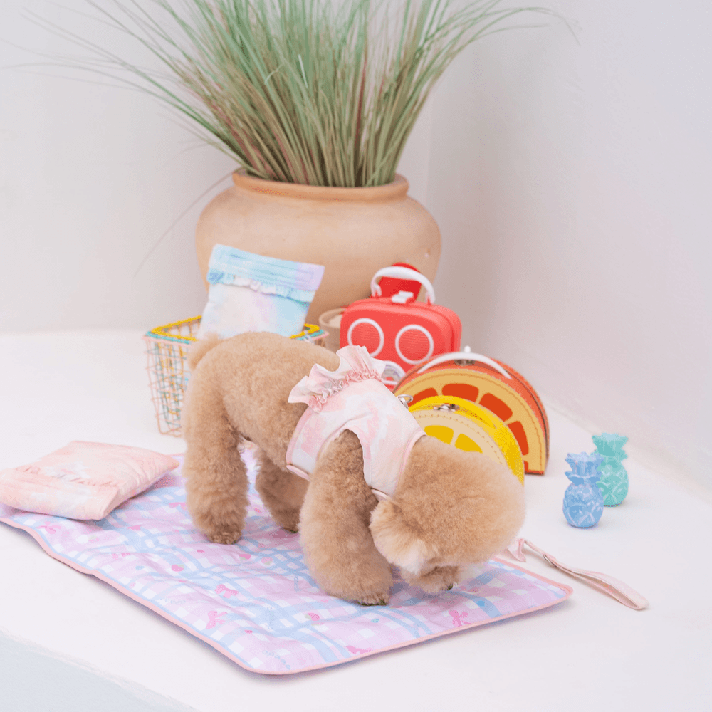 【5/12配送】Ice Water Harness（Peach Sorbet）