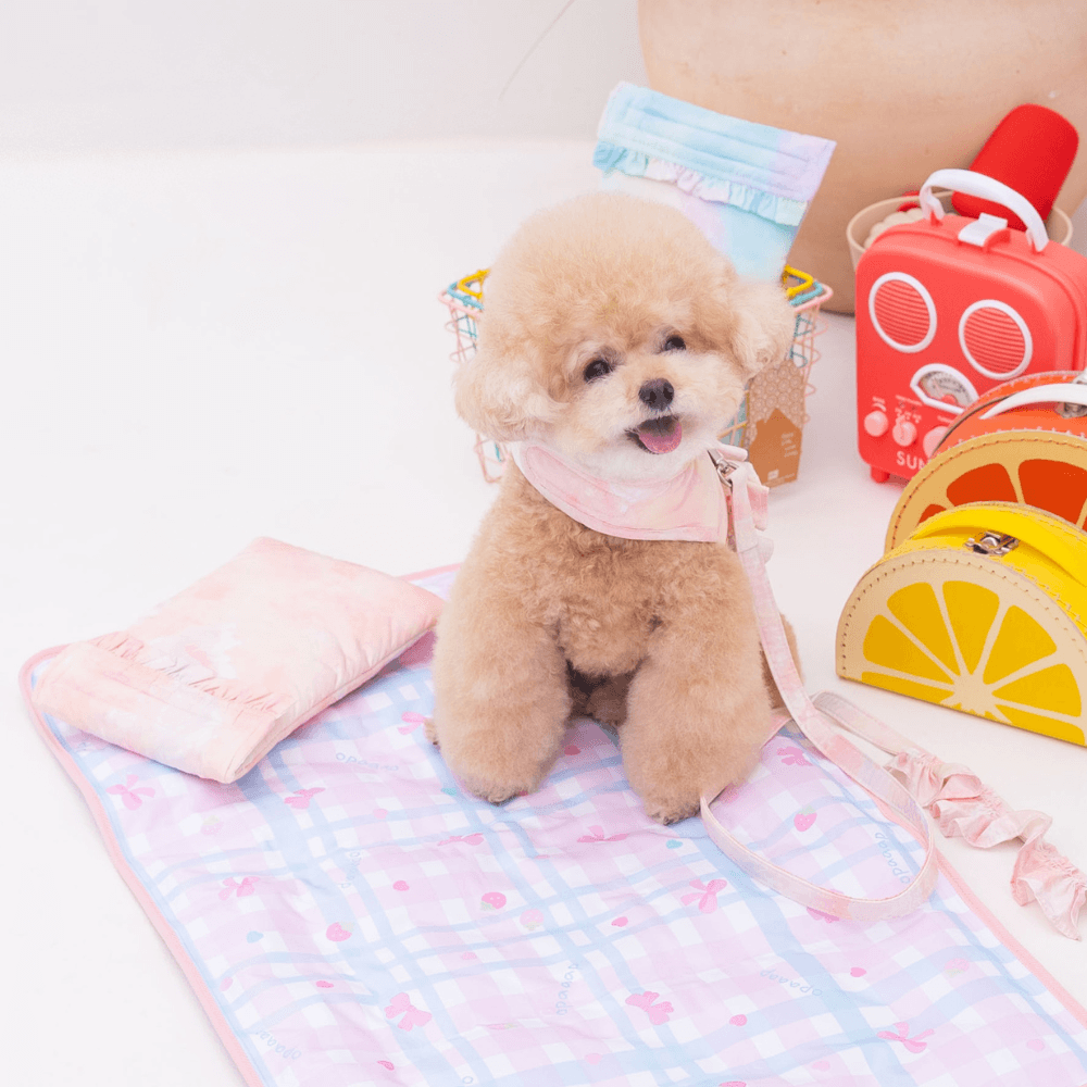 【5/12配送】Ice Water Harness（Peach Sorbet）