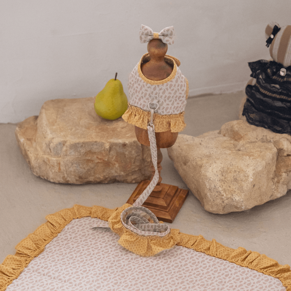 Flâneur Leash (Mustard)