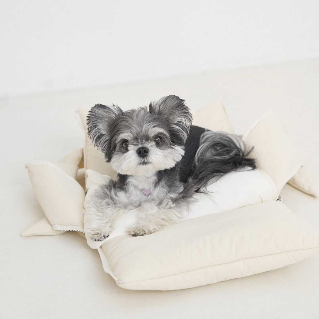 【予約】open bag - ivory（APERTY）