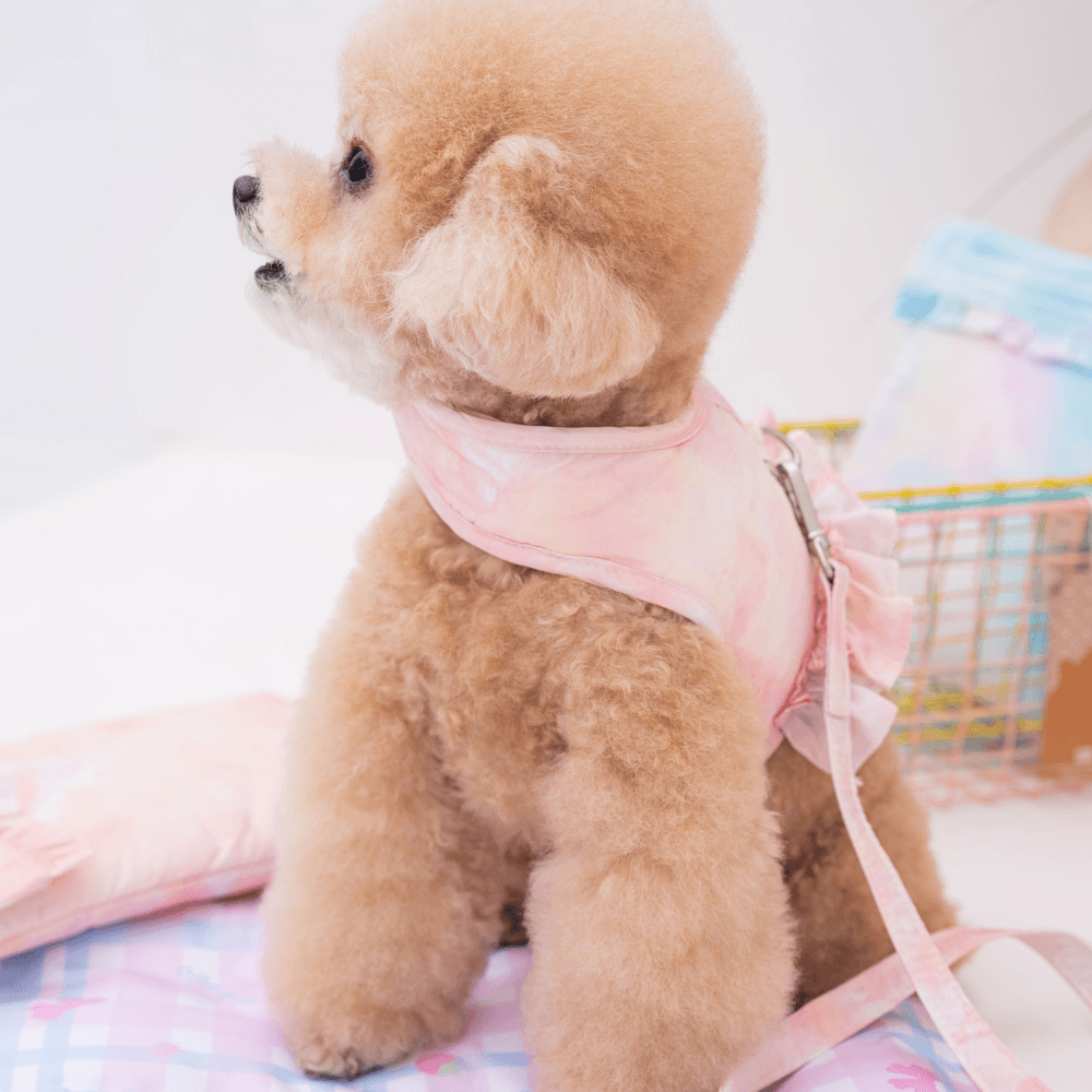 【5/12配送】Ice Water Harness（Peach Sorbet）