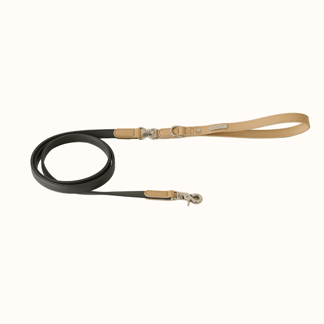 BEAR 150cm LEASH（Dark Grey）