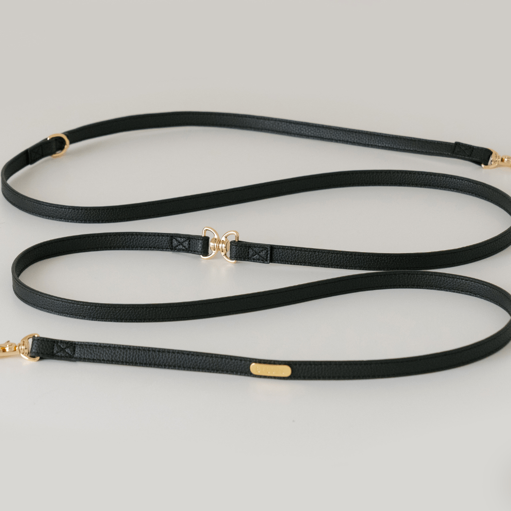 DELIGHT HANDS-FREE LEASH（ブラック）