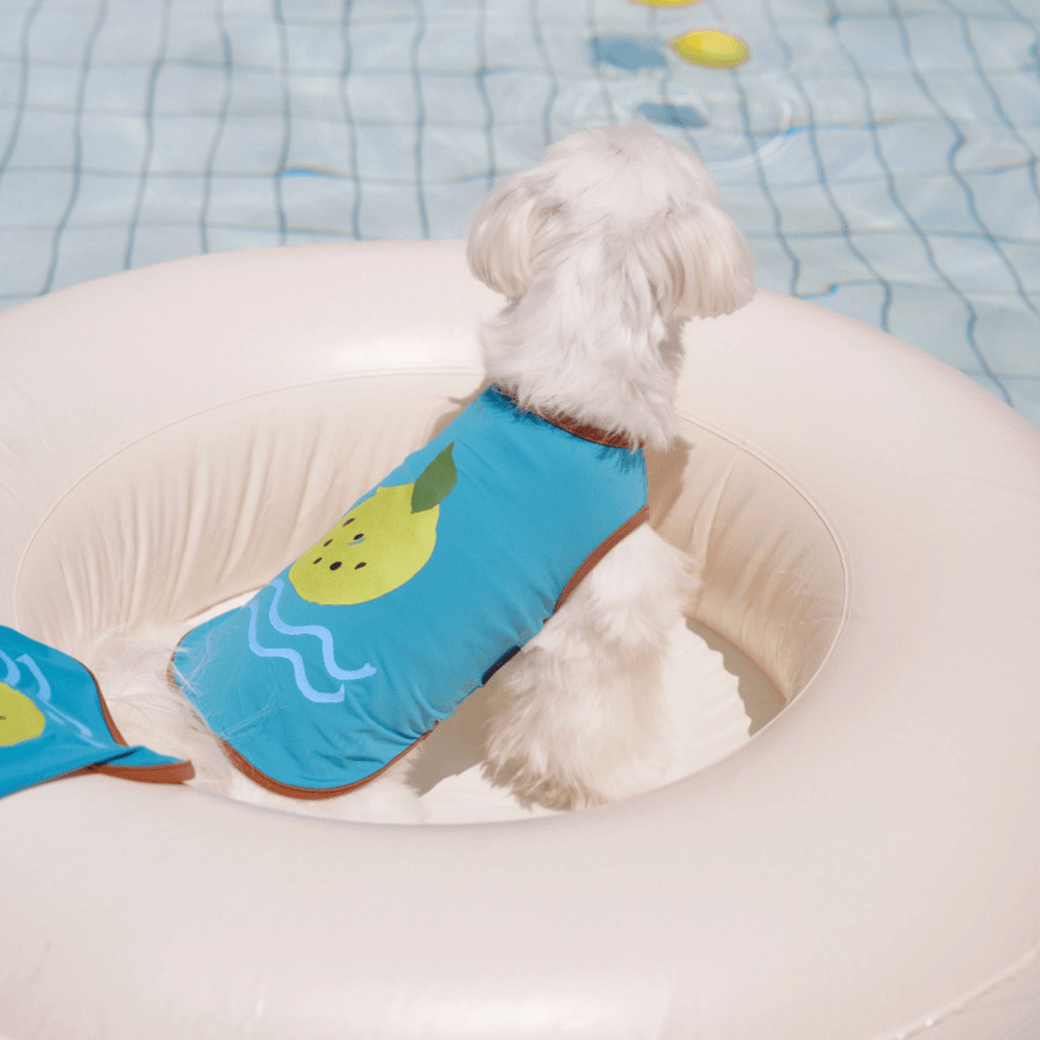 Vacation Cooling Top (2color)
