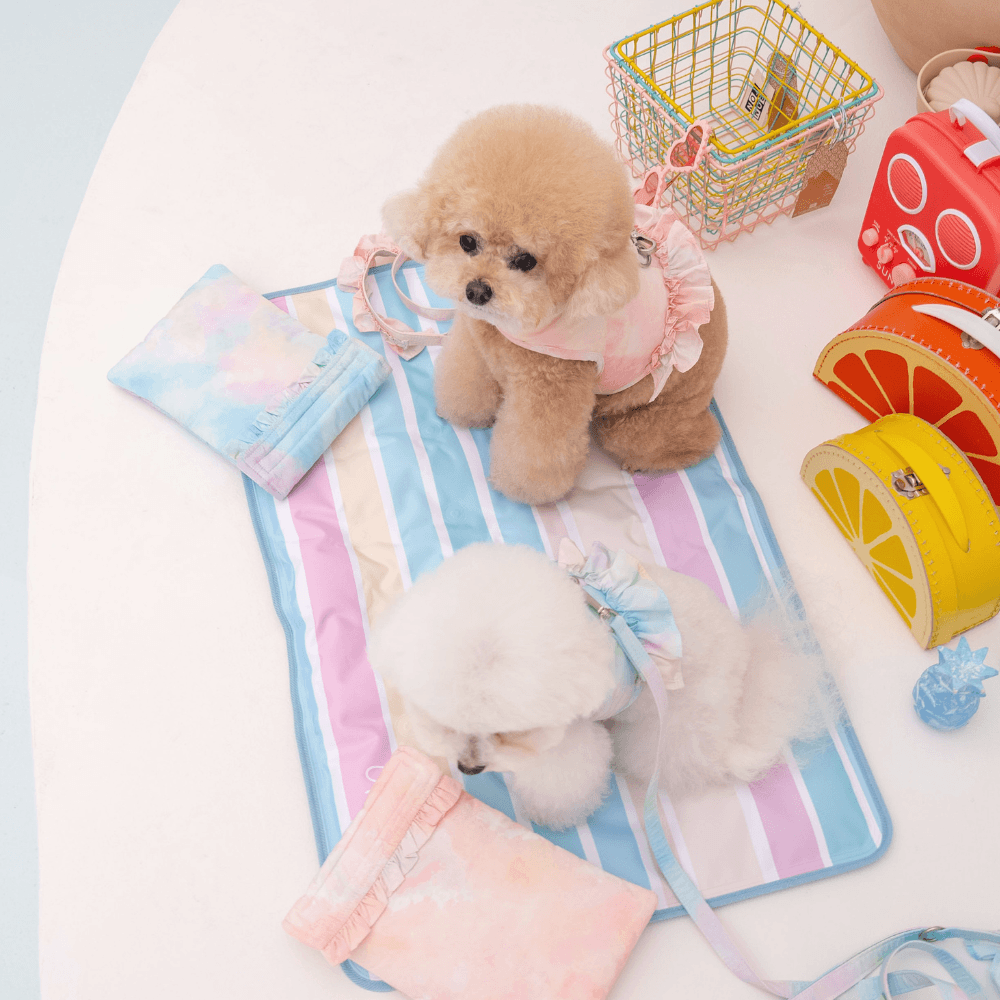 【4/23〜発送】Ice Water Pouch 保冷剤付（2COLOR）