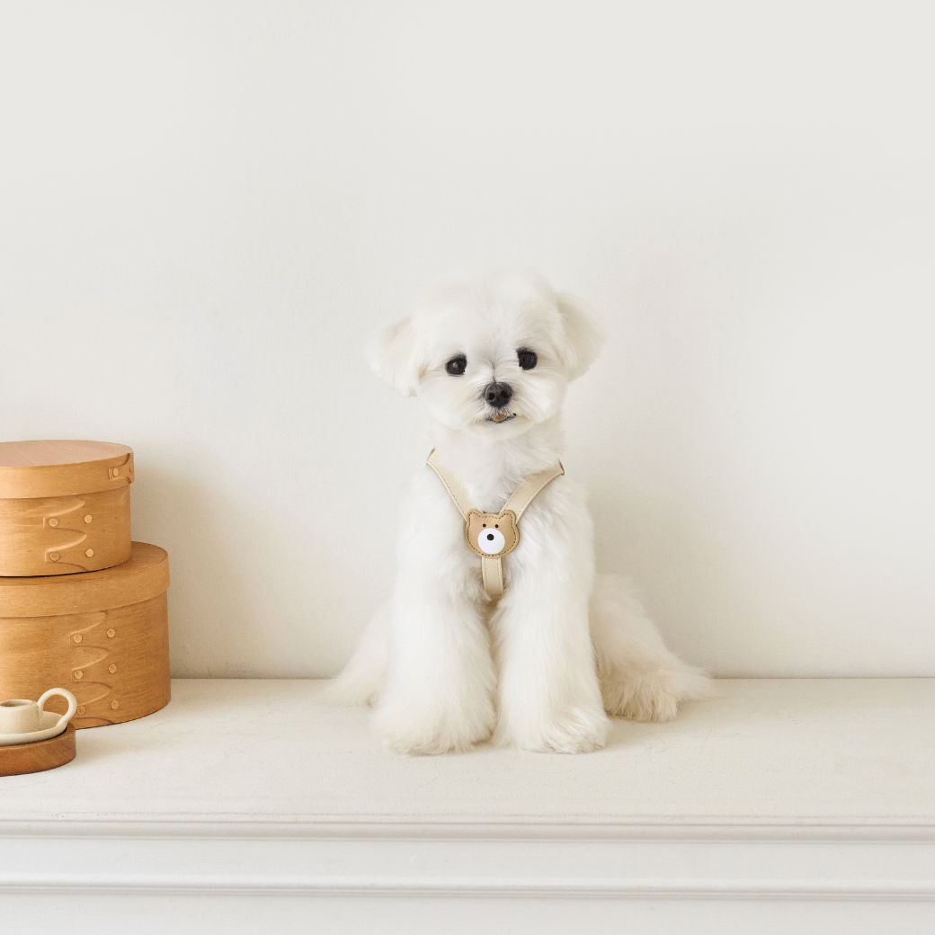 BEAR HARNESS（Ivory）