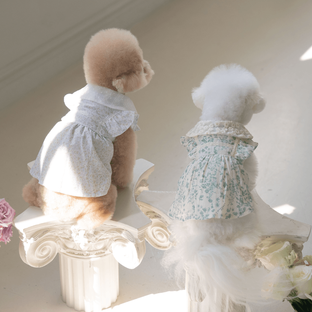 New Greenery Dress（Green）