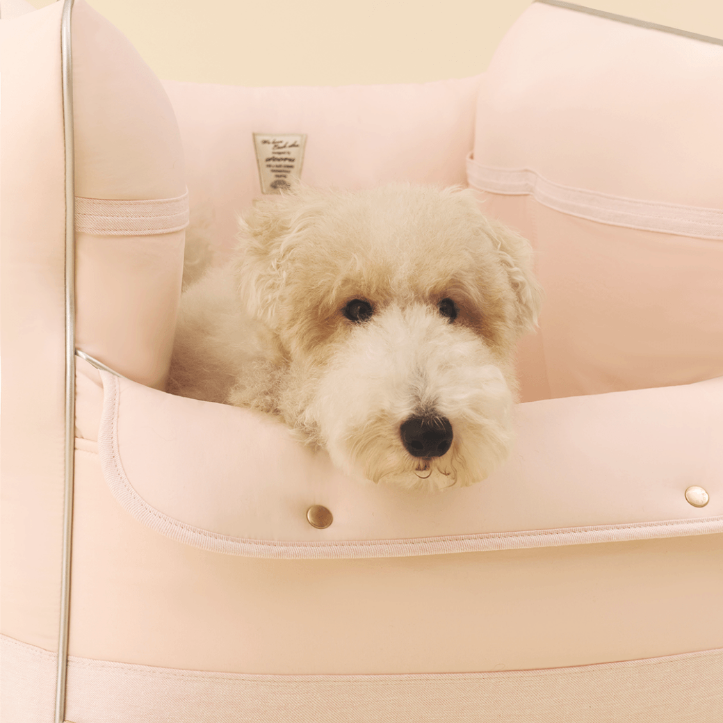 Cruise Car Seat (Pink)