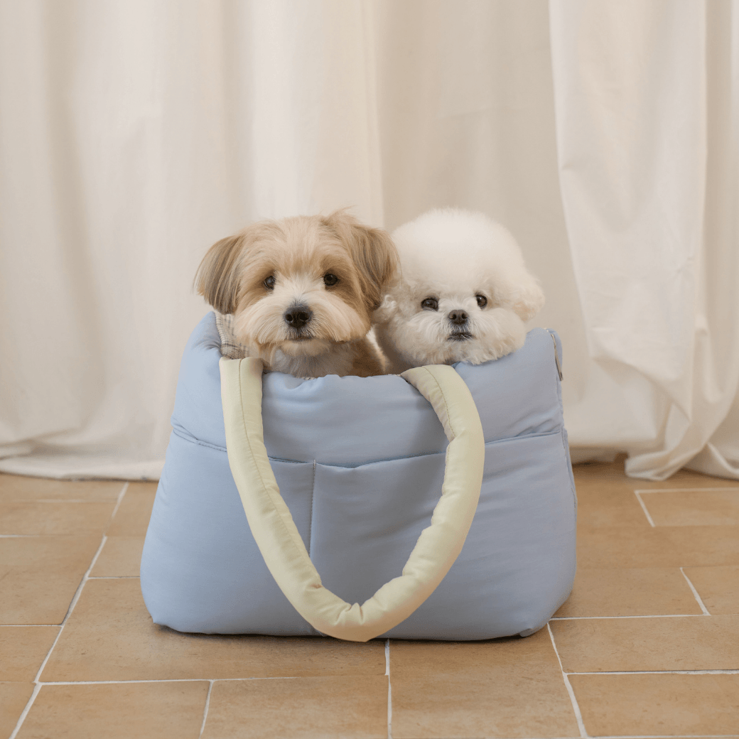 wide bag - green & blue（APERTY）4/10（金）21:00〜予約販売開始