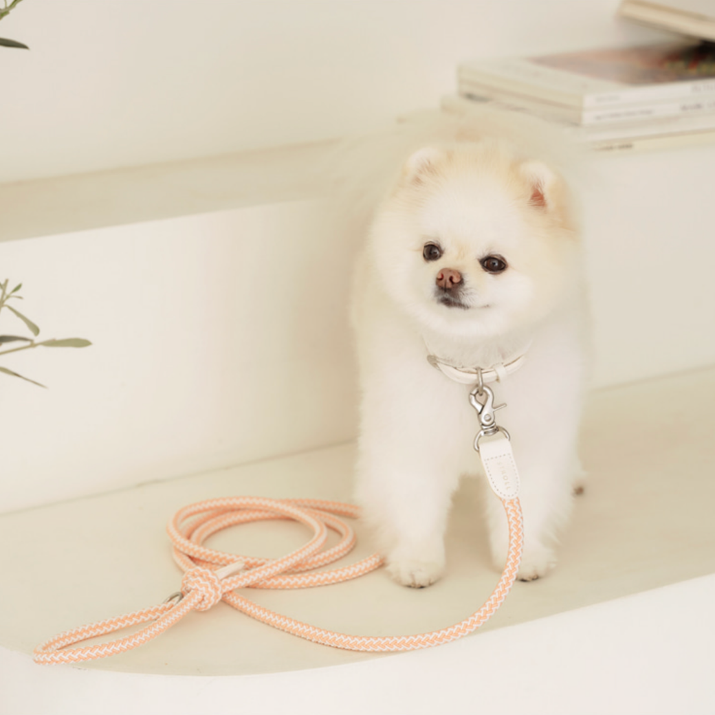 Rope Leash (Coral)