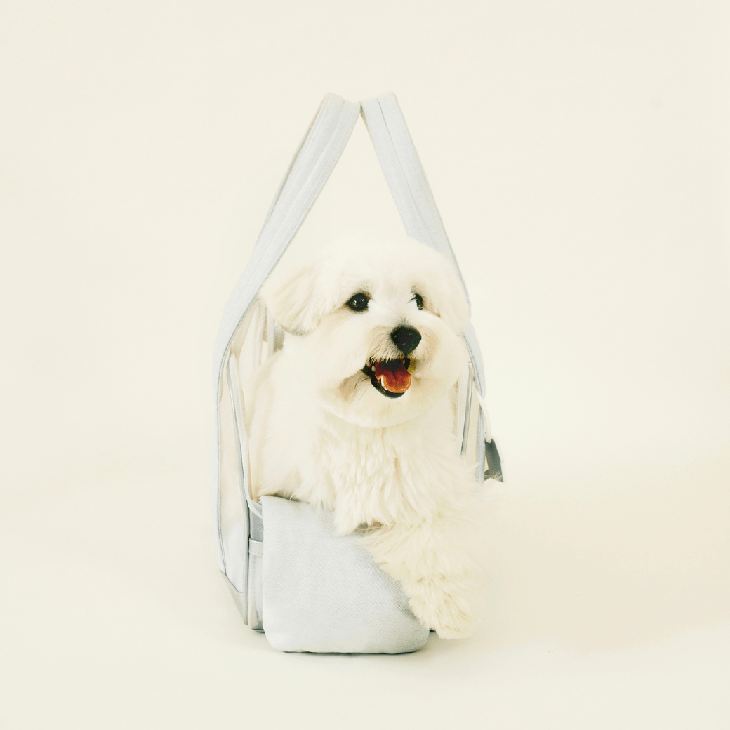 Mesh Ballon Bag （Silver & Blue）