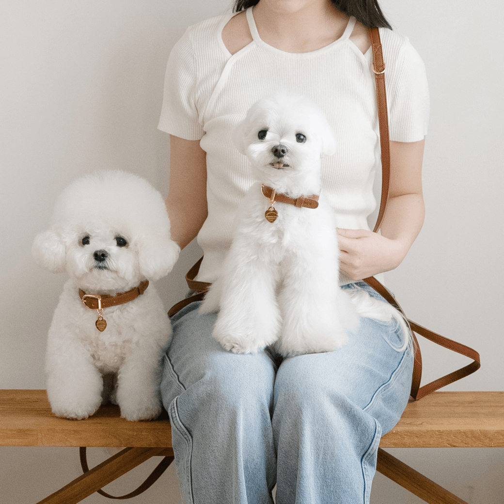 DELIGHT HANDS-FREE LEASH（キャメル）