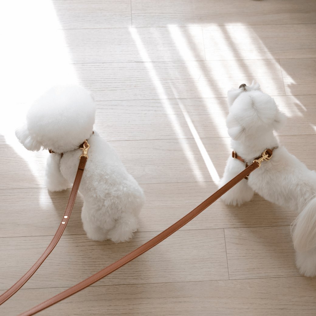 DELIGHT HANDS-FREE LEASH（キャメル）
