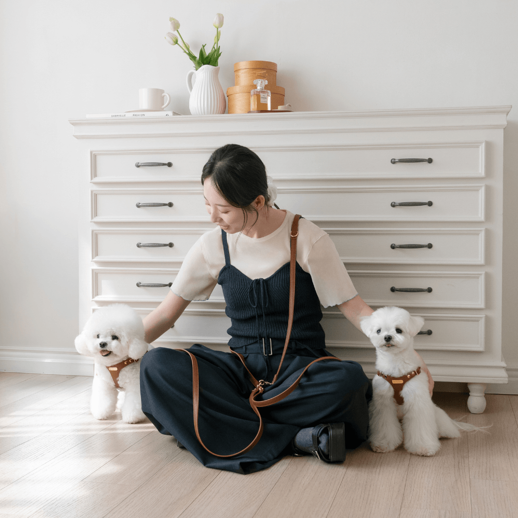 DELIGHT HANDS-FREE LEASH（キャメル）