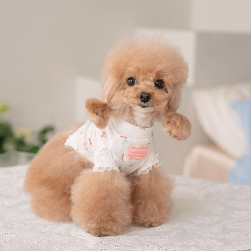 【4/3〜配送】Berry Sweet T-shirt (Cherry)