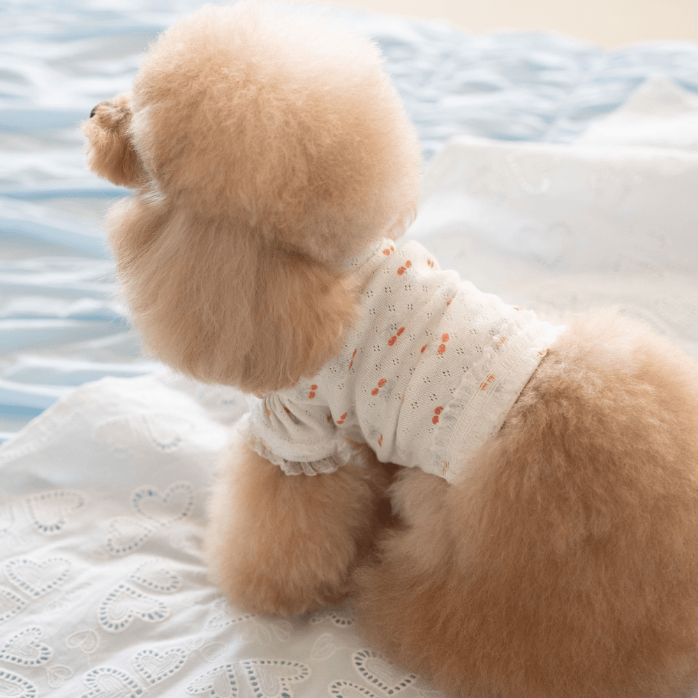 【4/3〜配送】Berry Sweet T-shirt (Cherry)