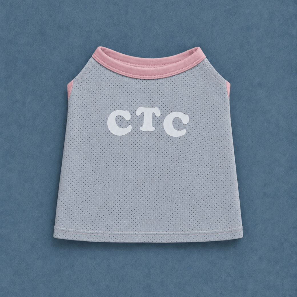 Air Mesh Cooling Tee (2color)