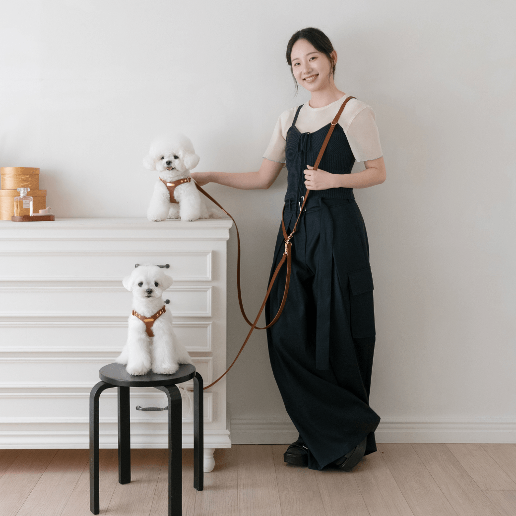 DELIGHT HANDS-FREE LEASH（キャメル）