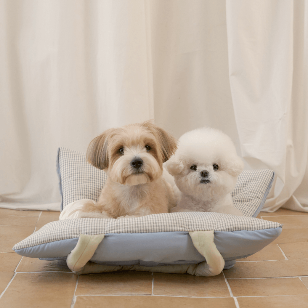 wide bag - green & blue（APERTY）4/10（金）21:00〜予約販売開始