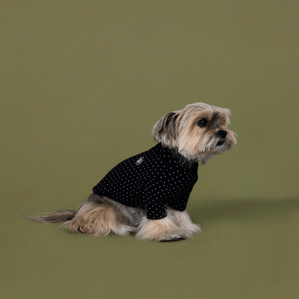 DOT‥TEE (FOR DOGS)