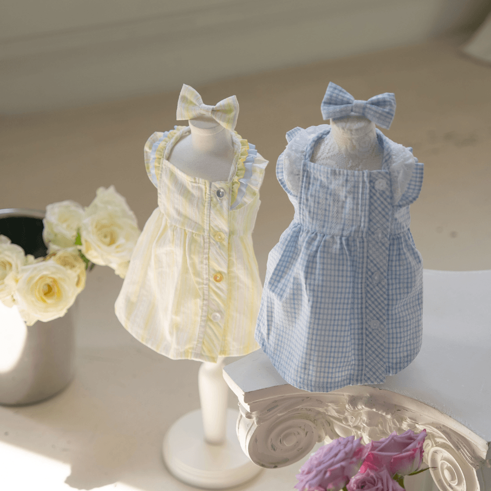 Sunkist Dress（Yellow）