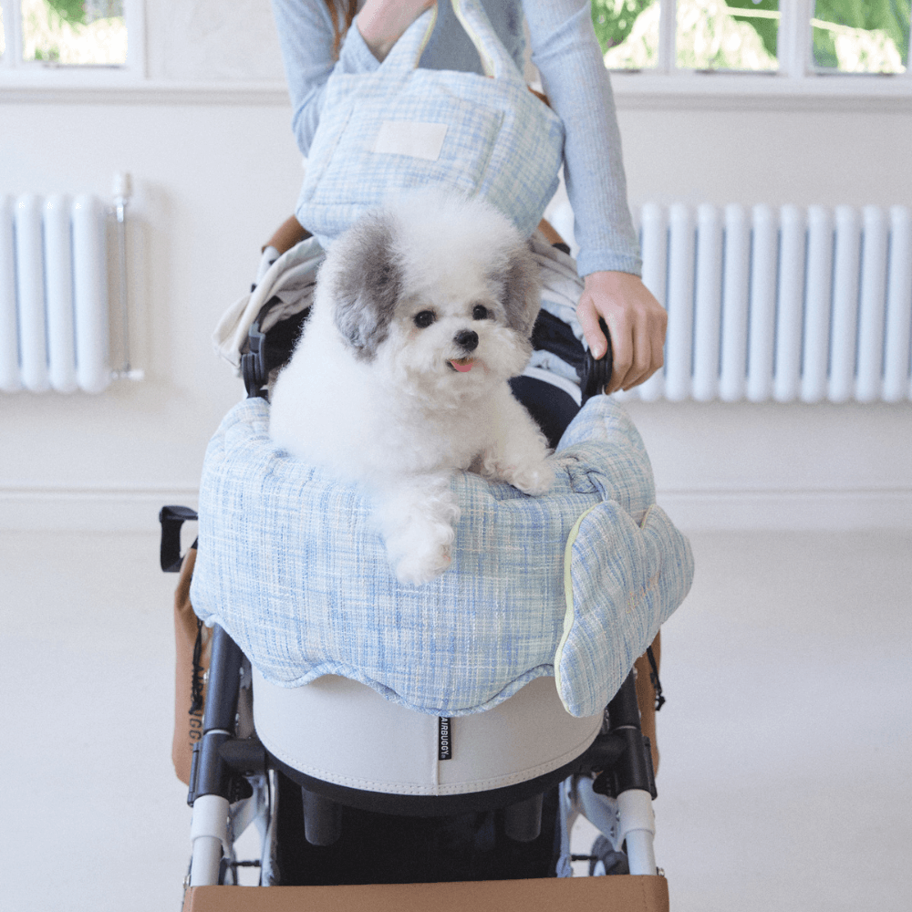 【5/12 21:00予約販売開始】Summer Tweed Buggy Guard（Blue）