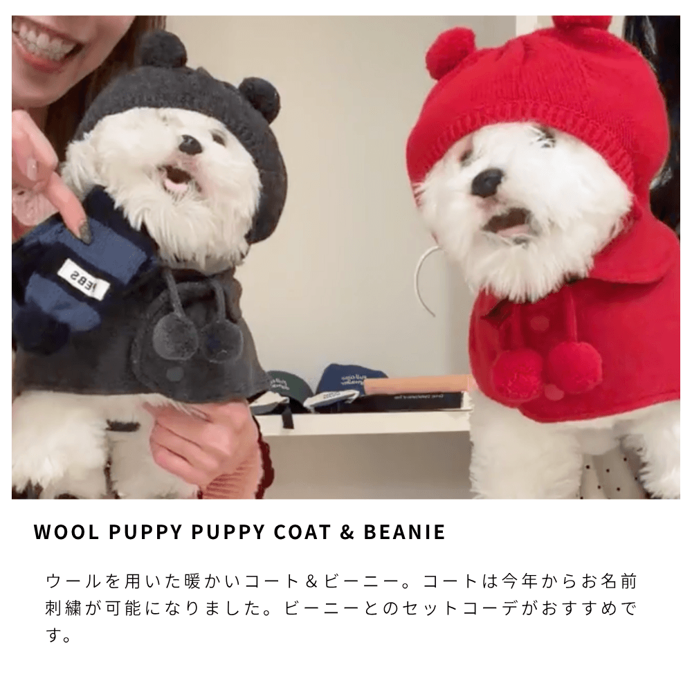wool puppy puppy coat grey red pebbles ドッグウェア