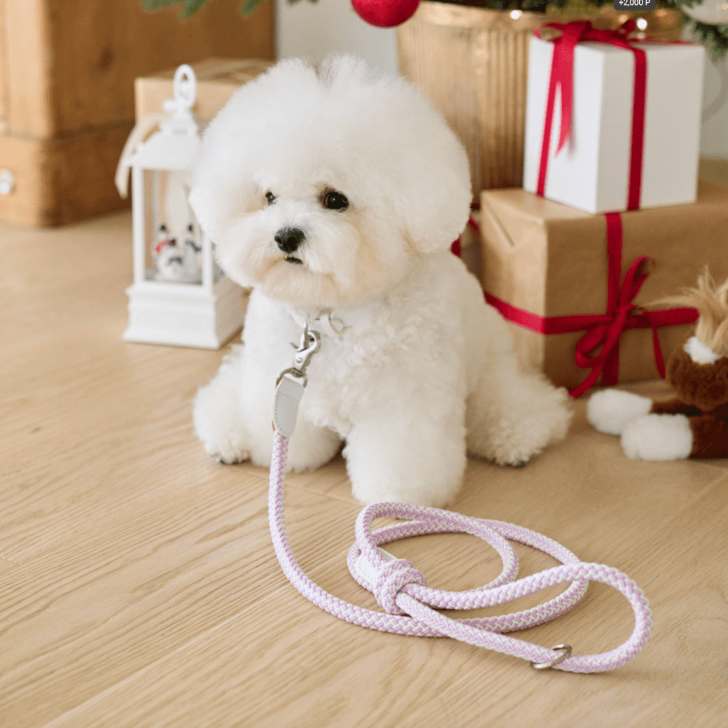 Stroll Rope Collar & Leash New Lilac