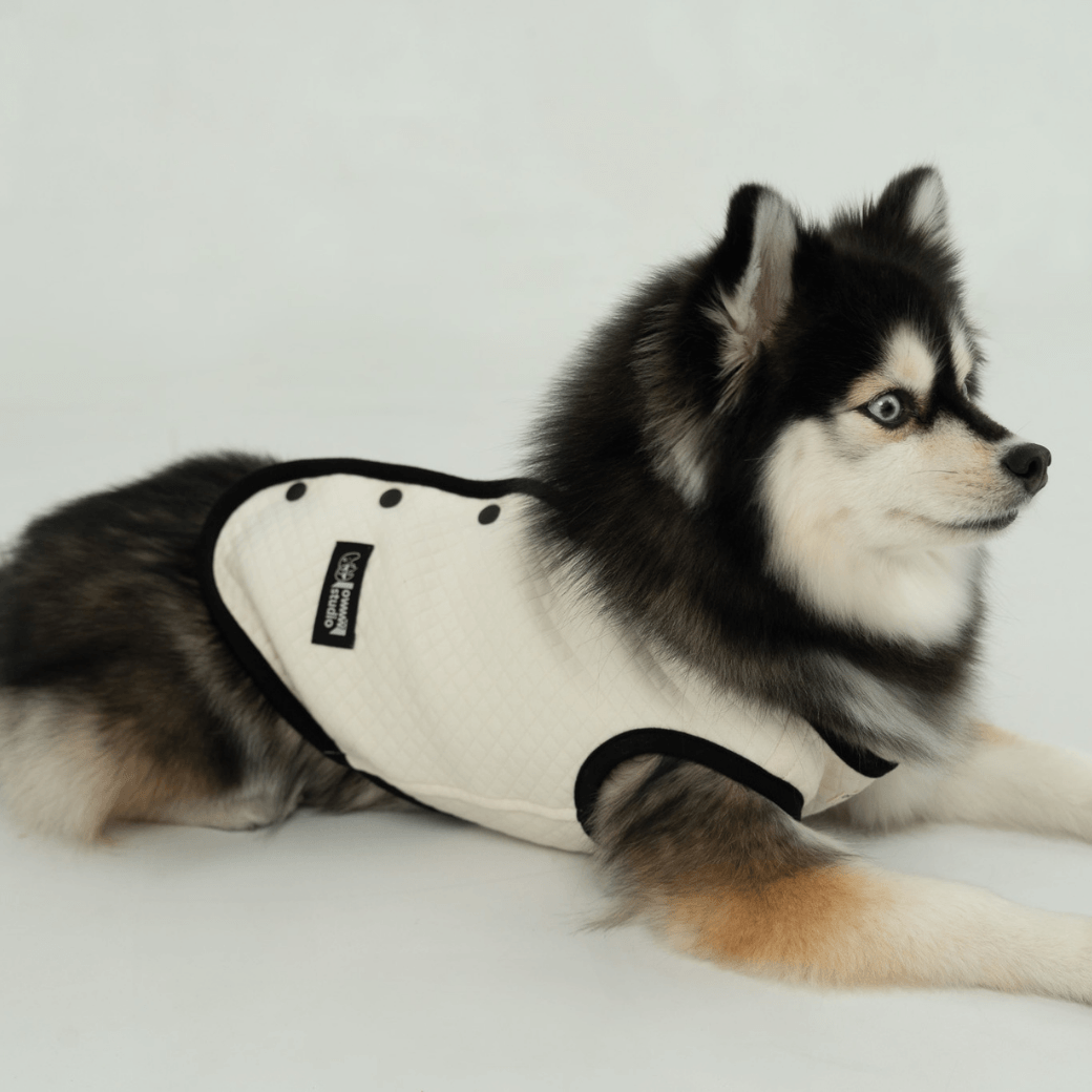 【予約】ORGANIC QUILTED VEST – OWWW x VERVVE edition（ネーム刺繍可）